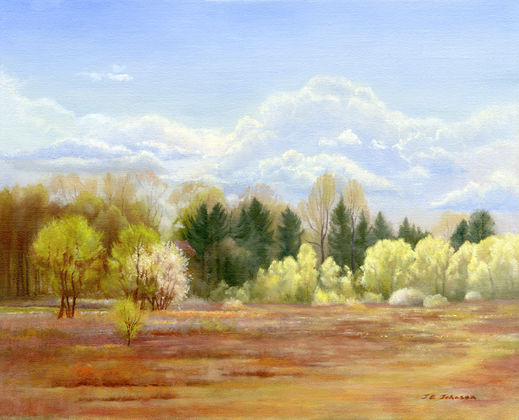 Spring Meadow