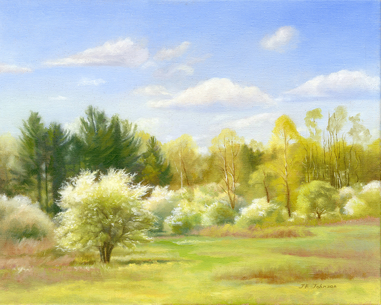 Old Field Crabapples