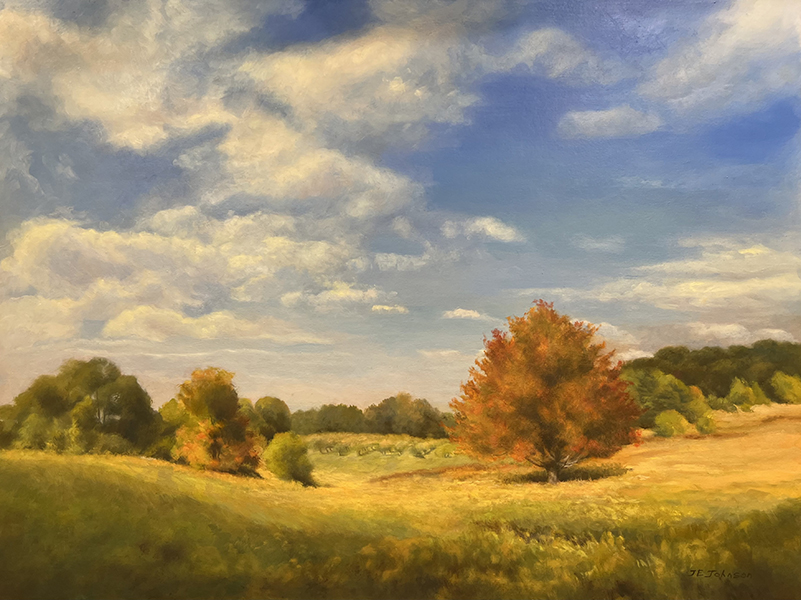 Orchard Hill Goldenrod