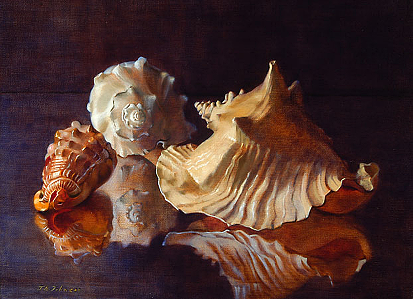 3 Reflected Shells