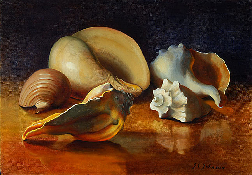 A Gathering of Shells
