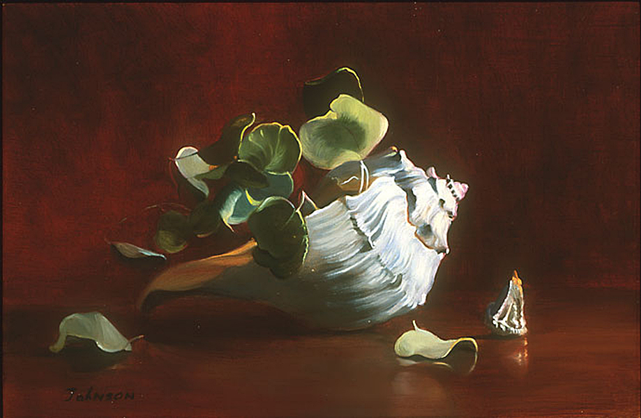 Shells with a Starfish