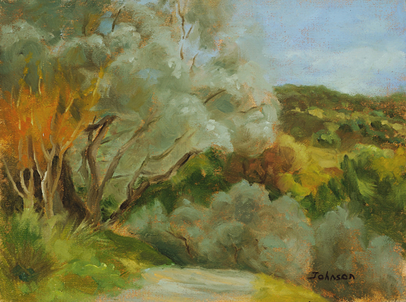 Napa Olive Trees