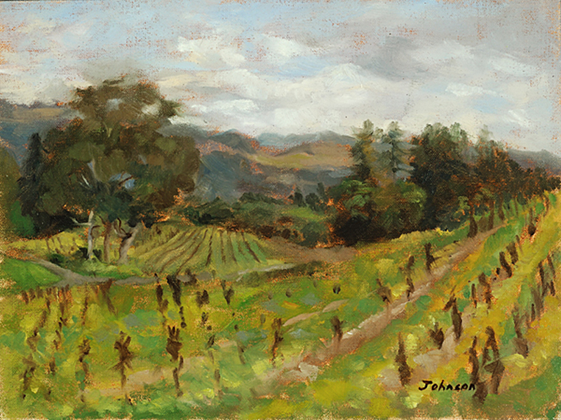 Jack london Vineyard