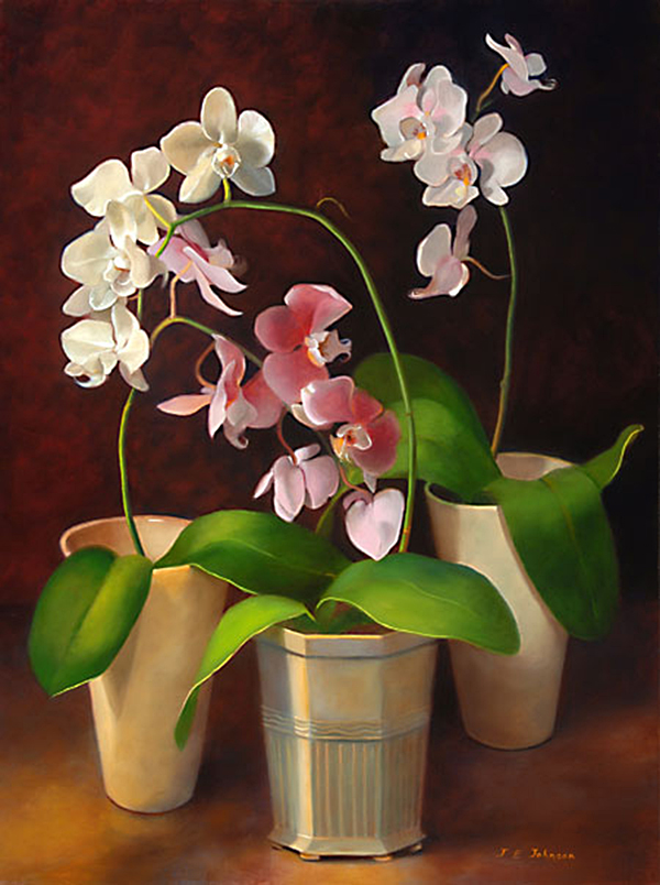 Three Orchids